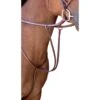 Passport Plain Raised Running Martingale - Mahogany -The Equestrian Shop 546020 800 800