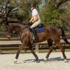 Equinavia Women's Ingrid Short Sleeved Show Shirt - White 11 Equinavia Women's Ingrid Short Sleeved Show Shirt - White -The Equestrian Shop 552209 800 800