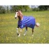 Shires Tempest Original Airdry 100G Rug - Navy -The Equestrian Shop 553504 800 800