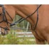 Shires Avignon German Martingale - Black -The Equestrian Shop 553701 800 800