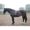 Shires Lunging Aid - Black -The Equestrian Shop 553776 800 800