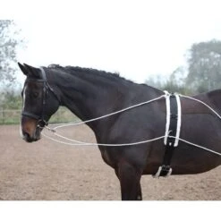 Shires Lunging Aid - Black -The Equestrian Shop 553777 800 800