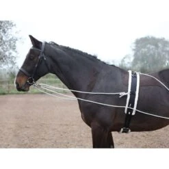 Shires Lunging Aid - Black -The Equestrian Shop 553778 800 800
