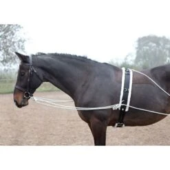 Shires Lunging Aid - Black -The Equestrian Shop 553779 800 800
