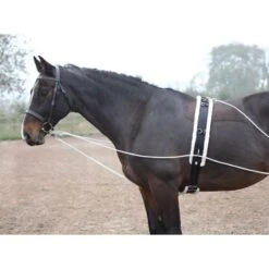 Shires Lunging Aid - Black -The Equestrian Shop 553780 800 800