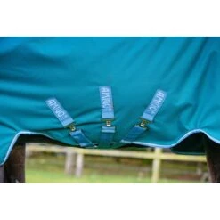 Amigo Bravo 12 Wug Turnout 400g - Storm Green/Turquoise/Aqua -The Equestrian Shop 555782 800 800