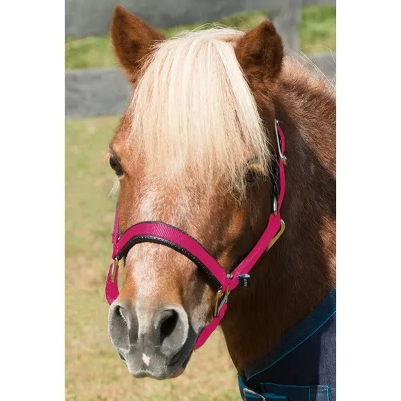Shires Mini Topaz Halter - Raspberry 3 Shires Mini Topaz Halter - Raspberry