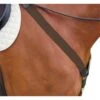 Kincade Elastic Y Fit Breastplate - Brown -The Equestrian Shop 581612 800 800