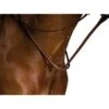 Kincade Raised Martingale Standing - Brown -The Equestrian Shop 581642 800 800