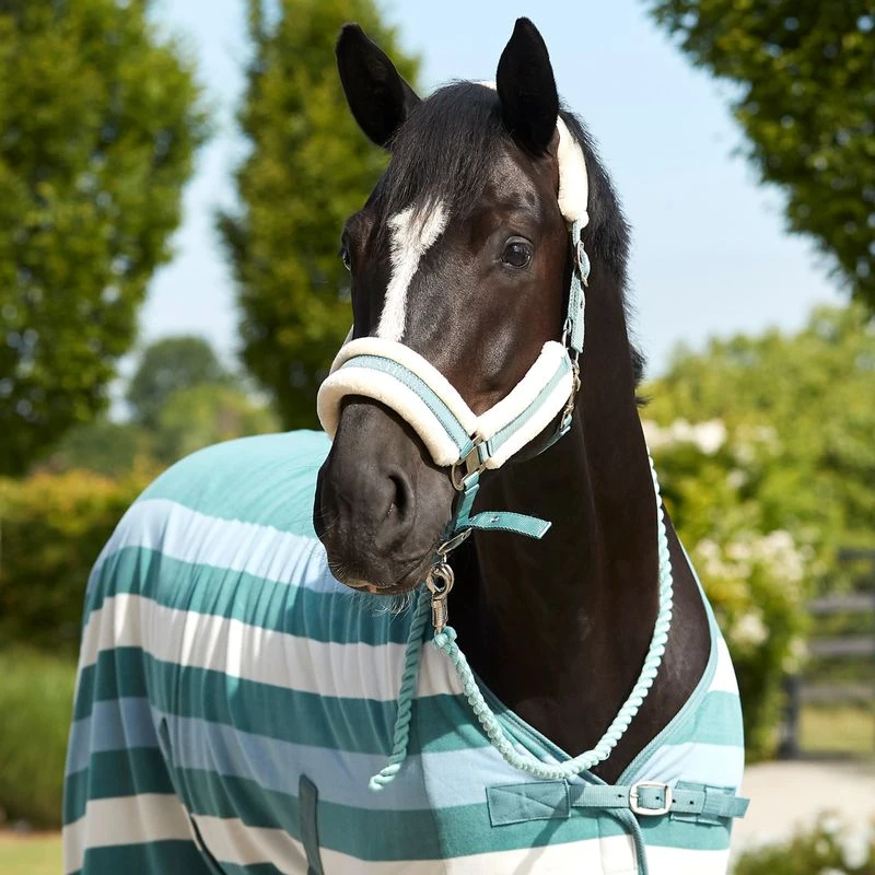 Horze Stanford Lead W/Panic Snap - Arctic Blue 4 Horze Stanford Lead W/Panic Snap - Arctic Blue - Image 2