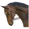 M. Toulouse Hybrid Jumper Bridle - Chocolate/Cognac -The Equestrian Shop 631134 800 800
