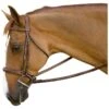 M. Toulouse Brunello Handy Hunter Bridle - Chocolate -The Equestrian Shop 631925 800 800