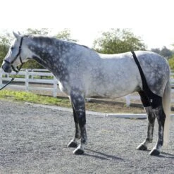 Ice Horse Stifle Wrap - Black -The Equestrian Shop 632119 800 800