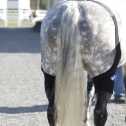 Ice Horse Stifle Wrap - Black -The Equestrian Shop 632120 800 800