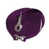 Kensington 30ft Flat Nylon Lunge Line - Wine W/Satin Nickle 2 Kensington 30ft Flat Nylon Lunge Line - Wine W/Satin Nickle -The Equestrian Shop 671668 800 800