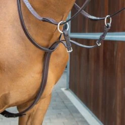 Shires Velociti Lusso Running Martingale - Havana