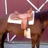 WoolBack Cinch Cover - Natural -The Equestrian Shop 675043 800 800