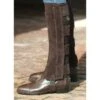 Ovation EZE Tab Suede Half Chaps - Brown -The Equestrian Shop 676708 800 800