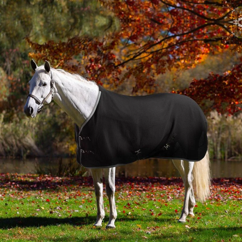 Equinavia Luftig Waffle Cooler - Black 3 Equinavia Luftig Waffle Cooler - Black