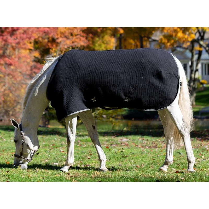 Equinavia Luftig Waffle Cooler - Black 4 Equinavia Luftig Waffle Cooler - Black - Image 2