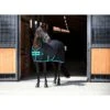 Amigo Polyester Stable Sheet - Black/Teal/Dark Cherry -The Equestrian Shop 680552 800 800