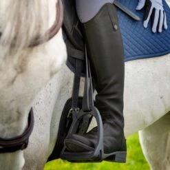 Shires Moretta Women's Gianna Leather Field Boots - Black 22 Shires Moretta Women's Gianna Leather Field Boots - Black -The Equestrian Shop 685195 800 800