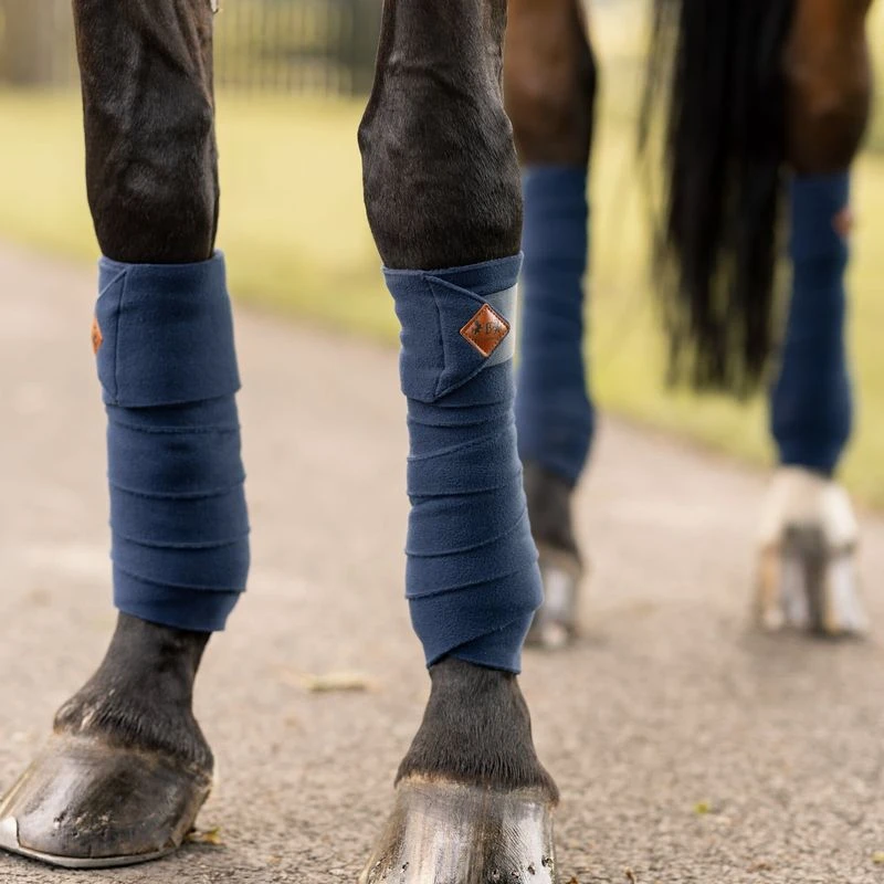 The Equestrian Shop -The Equestrian Shop 697102 800 800