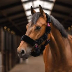Horze Smoky Twilight Comfort Fleece Halter - Caviar Black -The Equestrian Shop 698794 800 800
