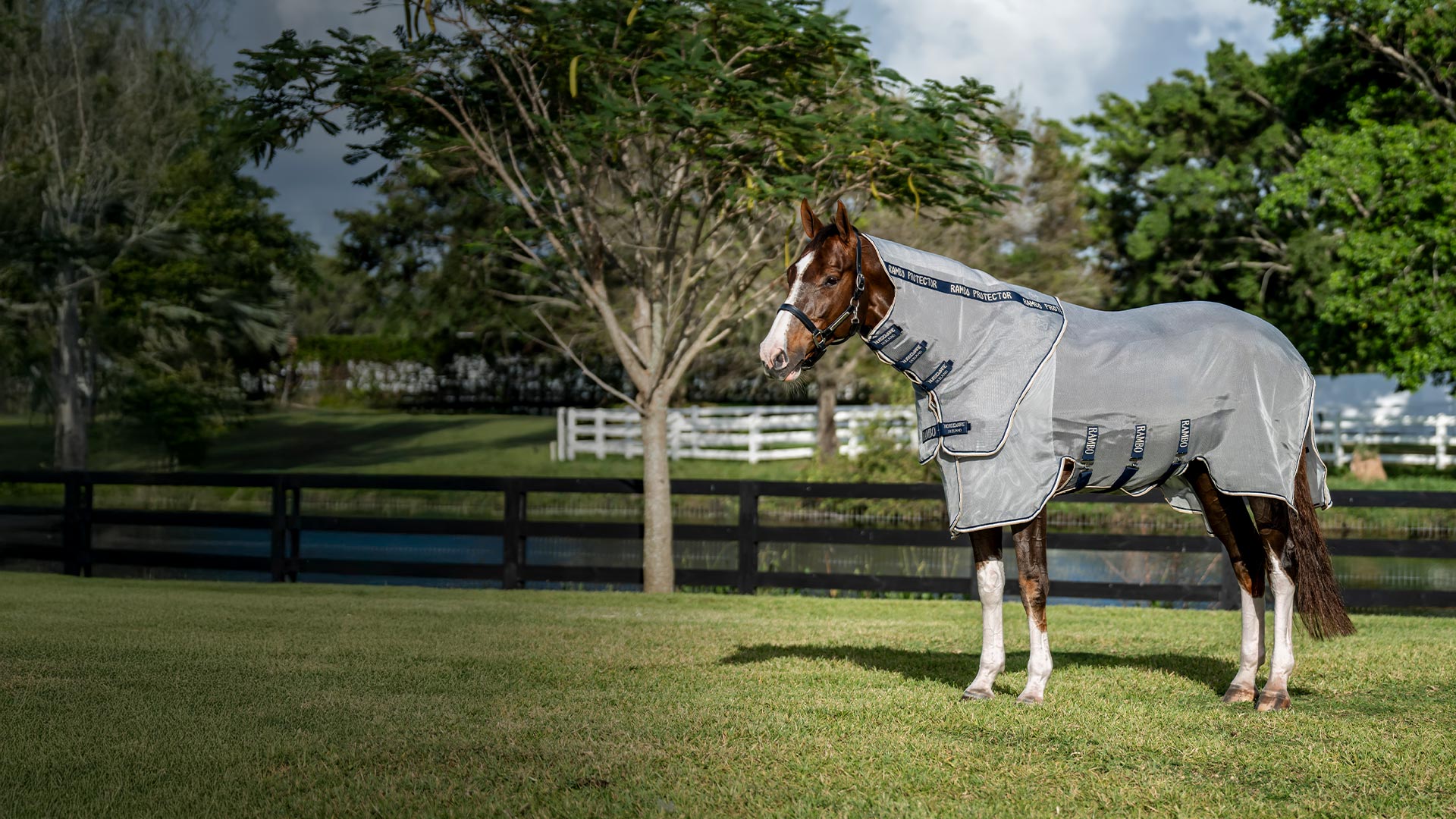 The Equestrian Shop -The Equestrian Shop Hero banner Rambo Protector Integrated 1920x1080 desktop